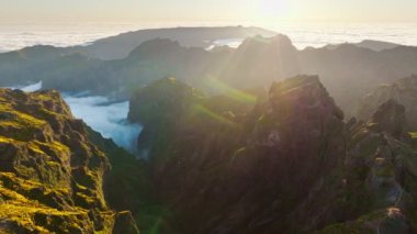 Pico do Arieiro 'daki bulutların üzerindeki hava manzarası gün batımında çiçek açan Cytisus çalılıklarıyla birlikte. Madeira Adası, Portekiz. Yörünge paraşütü atışı