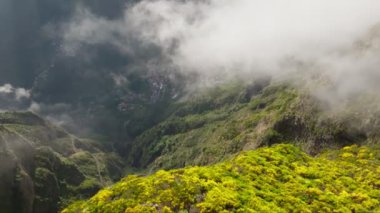 Miradouros do Paredao 'daki Curral das Freiras köyünün havadan insansız hava aracı görüntüsü. Portekiz' in Madeira adasında çiçek açan sarı Cytisus çalıları. Kaydırma Taşıma Çekimi