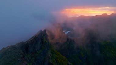 Gün batımındaki dağlar sis ve bulutlarla kaplı, çiçek açan Cytisus çalılarıyla. Pico de Arieiro yakınlarında, Madeira adası, Portekiz. Kaydırma Taşıma Çekimi
