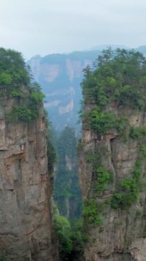 Çin - Zhangjiajie taş ünlü turistik uçurum Dağları sis bulutları Wulingyuan, Hunan, Çin, sütun. Kamera pan ile