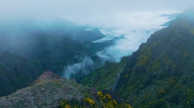 Sis ve bulutlarla kaplı Cytisus çalılarıyla kaplı bir dağ. Pico de Arieiro yakınlarında, Madeira adası, Portekiz. Kaydırma Taşıma Çekimi