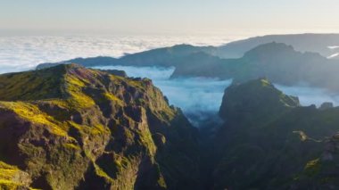 Pico do Arieiro 'daki bulutların üzerindeki hava manzarası gün batımında çiçek açan Cytisus çalılıklarıyla birlikte. Madeira Adası, Portekiz. Çekim