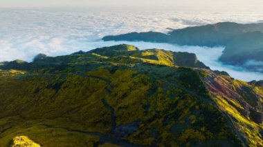 Portekiz 'in Madeira adasında, gün batımında çiçek açan Cytisus çalılarıyla Pico do Arieiro dağlarının hava manzarası. Çekin geri çekiliş çekimini.