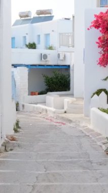 Yunanistan 'ın ünlü Paros Adası' ndaki Naousa kasabasının çiçek açan begonvil çiçekli geleneksel badanalı evleri ile pitoresk dar bir sokakta sabit kamerayla yürümek