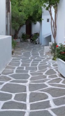 Yunanistan 'ın ünlü Paros Adası' ndaki Naousa kasabasının çiçek açan begonvil çiçekli geleneksel badanalı evleri ile pitoresk dar bir sokakta sabit kamerayla yürümek