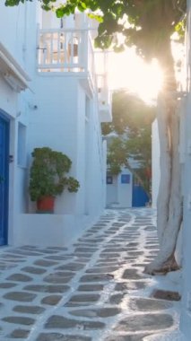 Yunanistan 'ın ünlü Mykonos adasında, Mykonos şehrinin mavi pencereli geleneksel beyaz boyalı evleri ve resimli manzaralı dar caddelerde sabit kameralı bir şekilde yürümek