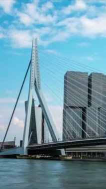 Rotterdam şehir manzarası ve Nieuwe Maas üzerindeki Erasmus köprüsü. Rotterdam, Hollanda. Kamera tavası