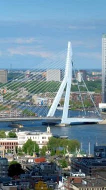 Rotterdam şehir ve Euromast Nieuwe Maas nehri üzerinde Erasmus Köprüsü köprü görünümü