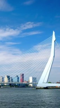 Rotterdam şehir manzarası ve Nieuwe Maas üzerindeki Erasmus köprüsü. Rotterdam, Hollanda