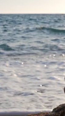 Denge ve uyum kavramı. Taş yığınları gün batımında denizin sahil kıyısında vızıldıyor. Taş istifleme meditasyon sanatı. Kamera tavası
