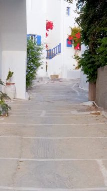 Yunanistan 'ın ünlü Paros Adası' ndaki Naousa kasabasının çiçek açan begonvil çiçekli geleneksel badanalı evleri ile pitoresk dar bir sokakta sabit kamerayla yürümek