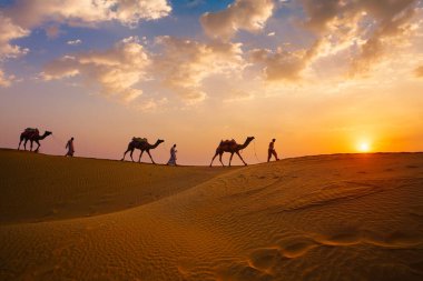 Hintli cameleers deve sürücüleri gün batımında Thar çölünün kum tepelerinde deve siluetleri ile beşikte. Rajasthan 'daki karavan turizm arka planında safari macerası. Jaisalmer, Rajasthan, Hindistan