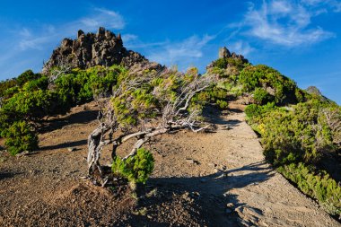 Yürüyüş patikasından Pico Ruivo, Madeira 'ya git