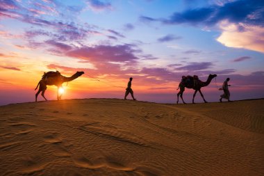 Hintli cameleers deve sürücüleri gün batımında Thar çölünün kum tepelerinde deve siluetleri ile beşikte. Rajasthan 'daki karavan turizm arka planında safari macerası. Jaisalmer, Rajasthan, Hindistan