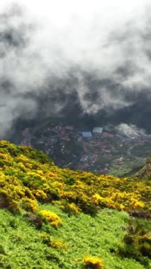 Miradouros do Paredao 'daki Curral das Freiras köyünün havadan insansız hava aracı görüntüsü. Portekiz' in Madeira adasında çiçek açan sarı Cytisus çalıları. Dolly hareketine yaklaş.