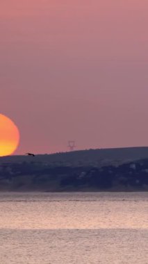 Deniz martısı albatros kuş silueti gün batımında büyük batan güneşle uçuyor. Kamera yatay tavası