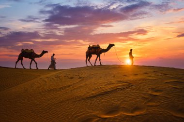 Hintli cameleers deve sürücüleri gün batımında Thar çölünün kum tepelerinde deve siluetleri ile beşikte. Rajasthan 'daki karavan turizm arka planında safari macerası. Jaisalmer, Rajasthan, Hindistan