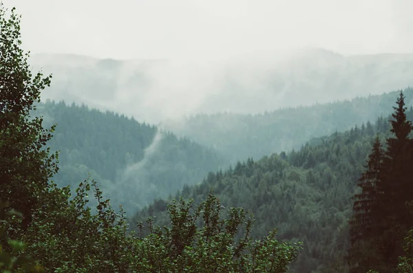 Foggy Matin Paysage Montagne Été Fond Hipster Incroyable Avec Cadre — Photo