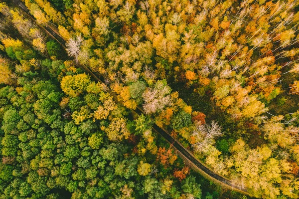 Цветные Осенние Леса Образуют Сверху Пустую Дорогу Захваченную Беспилотником Природный — стоковое фото