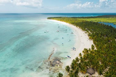 Saona adasındaki güzel Karayip plajı, Dominik Cumhuriyeti. Yeşil palmiye ağaçları, deniz kıyıları ve beyaz kumla tropikal cennet manzarası