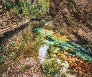 Meşhur Vintgar Vadisi Ağaç Yolu, Bled, Ulusal Park Triglav, Slovenya, Avrupa sonbaharda