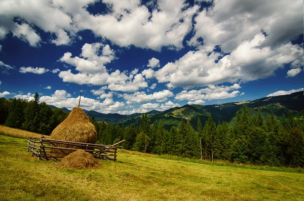Letní Krajina Horami Jedlovým Lesem Modrou Oblohou Bílými Mraky Kupkou — Stock fotografie