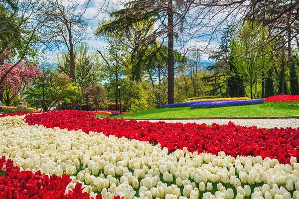 Traditionelles Tulpenfest Emirgan Park Einem Historischen Stadtpark Frühling — Stockfoto