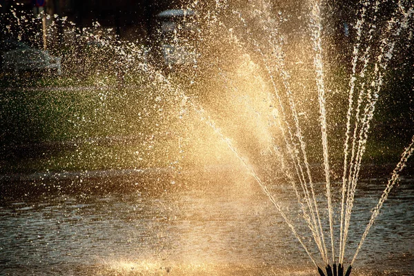 春天阳光明媚的公园里的水泉 自然的季节背景 — 图库照片