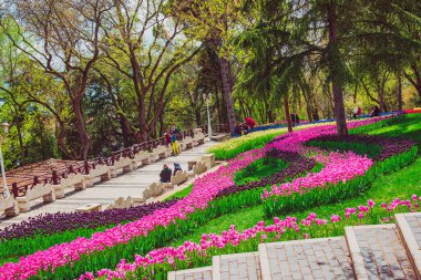 İlkbaharda tarihi bir şehir parkı olan Emirgan Parkı 'nda geleneksel Lale Festivali