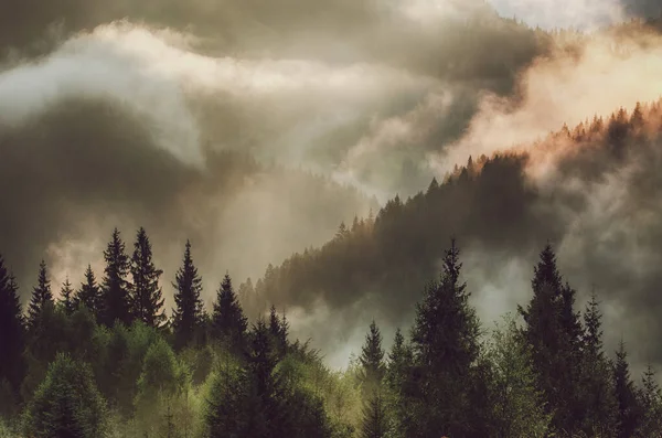 Neblige Landschaft Mit Bergen Und Tannenwald Hipster Retro Stil — Stockfoto