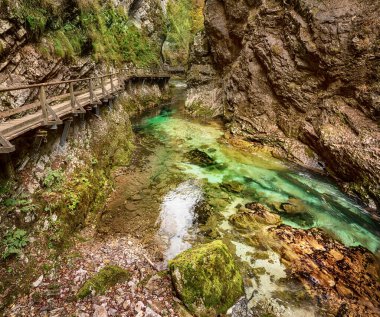 Meşhur Vintgar Vadisi Ağaç Yolu, Bled, Ulusal Park Triglav, Slovenya, Avrupa sonbaharda
