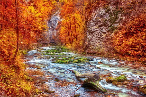 Famoso Desfiladeiro Vintgar Bled Parque Nacional Triglav Eslovênia Europa Outono — Fotografia de Stock
