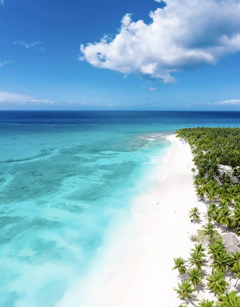 Пляж Острове Саона Доминиканской Республике Вид Воздуха Тропический Идиллический Летний — стоковое фото