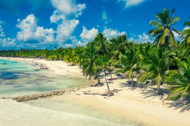 Saona adasındaki güzel Karayip plajı, Dominik Cumhuriyeti. Yeşil palmiye ağaçları, deniz kıyıları ve beyaz kumla tropikal cennet manzarası