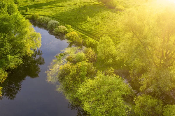 Güneşli Ağaçlarla Doğal Mevsimlik Bahar Manzarası Yeşil Çayır Yansımalı Nehir — Stok fotoğraf