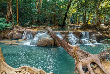 Ton Nga Chang Şelalesi, Erawan, Songkhla, Tayland 'da orman ve şelale. Tourustic Cazibe ve ünlü gezgin doğa ormanları.