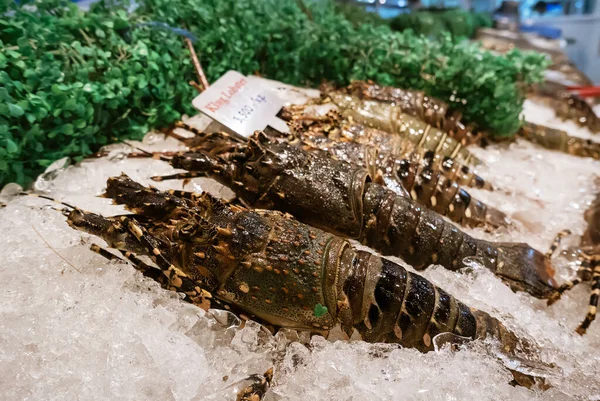 Fresh lobsters on ice for sale at restaurant. Selective focus on the dark lobster.