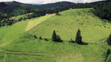 Karpat Dağları yaz manzarası mevsimsel doğal arka plan yeşil tepeler, mavi gökyüzü ve beyaz bulutlar. İHA 'dan 4K video