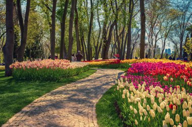 Emirgan Parkı 'nda geleneksel Lale Festivali. İlkbaharda tarihi bir şehir parkı.