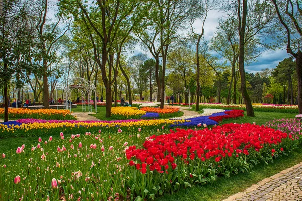 Traditional Tulip Festival Emirgan Park Historical Urban Park Spring Spring — стоковое фото