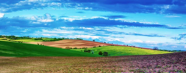Vidéki Táj Mezőkkel Hullámokkal Kék Felhőkkel Tavasz Szezonális Természeti Háttér — Stock Fotó