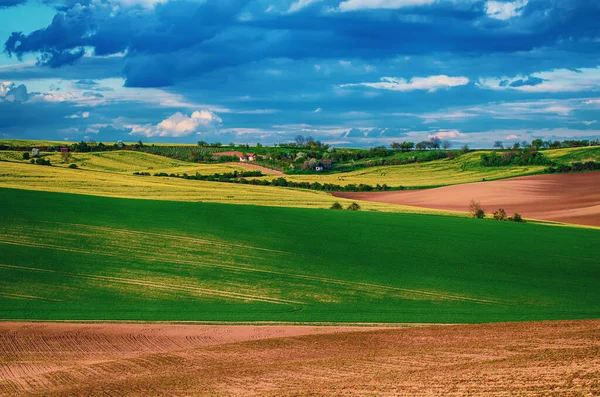 Vidéki Táj Mezőkkel Hullámokkal Kék Felhőkkel Tavasz Szezonális Természeti Háttér — Stock Fotó