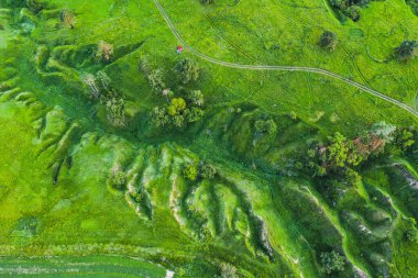 Yukarıdan görülen yeşil tepeler ve vadiler, İHA 'nın doğal yaz mevsimsel arka planı