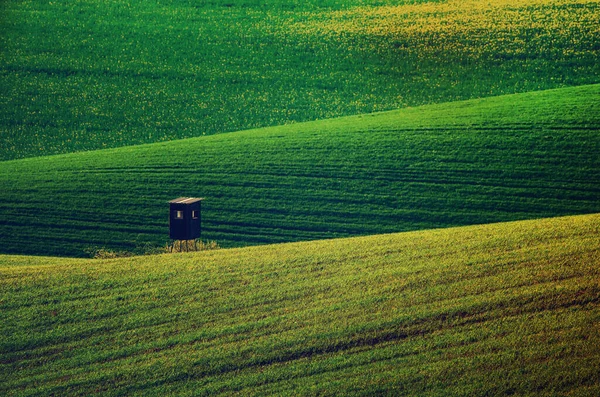 Rollende Grüne Hügel Mit Feldern Und Hölzernen Jagdhütte Geeignet Für — Stockfoto