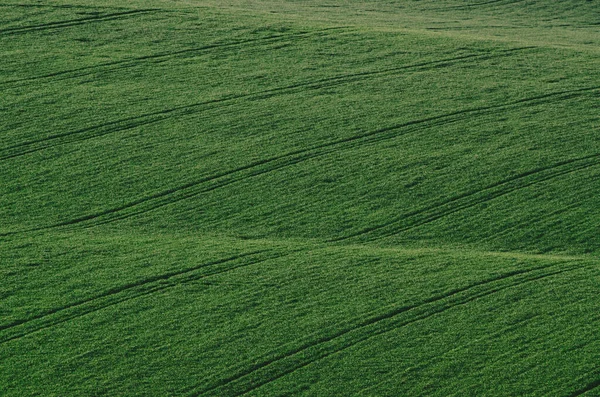 背景や壁紙 自然の季節の風景に適したフィールドと丘陵 南モラヴィア チェコ共和国 — ストック写真