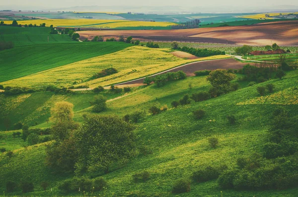 Ländliche Landschaft Mit Grünen Feldern Und Bäumen Südmähren Tschechische Republik — Stockfoto
