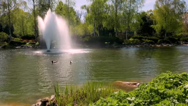 乌克兰基辅附近Mezhyhirya公共公园湖中的喷泉 — 图库视频影像