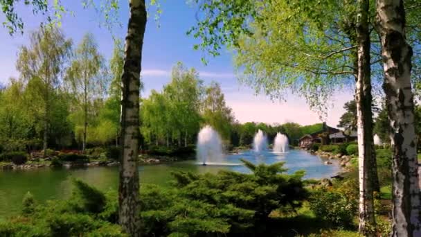 Fontanny Jeziorze Parku Publicznym Mezhyhirya Pobliżu Kijowa Ukraina — Wideo stockowe