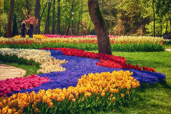 Красивые Красочные Цветы Традиционном Фестивале Тюльпанов Парке Эмирган Исторический Городской — стоковое фото