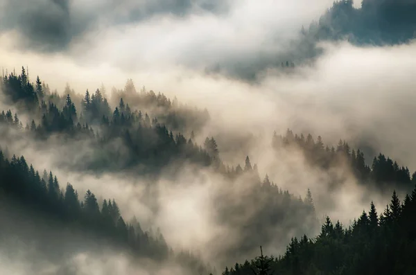Neblige Landschaft Mit Bergen Und Tannenwald Hipster Retro Stil — Stockfoto